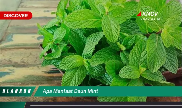 Ketahui 8 Manfaat Daun Mint untuk Kesehatan Tubuh Anda