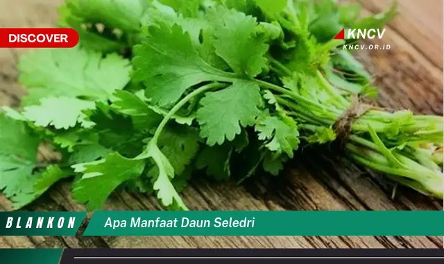 Temukan Manfaat Daun Seledri yang Jarang Diketahui