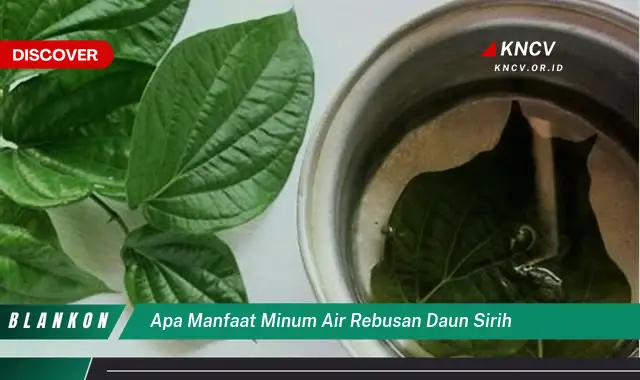 Ketahui 8 Manfaat Minum Air Rebusan Daun Sirih untuk Kesehatan Anda