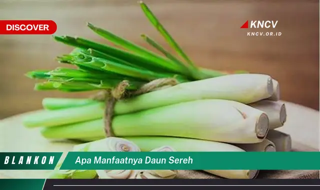 Ketahui 8 Manfaat Daun Sereh untuk Kesehatan, Kecantikan, dan Rumah Tangga