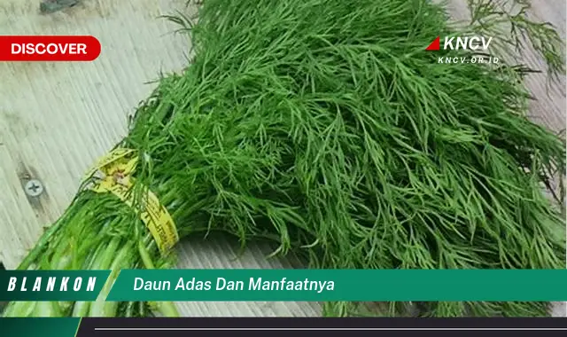 9 Manfaat Daun Adas untuk Kesehatan Anda