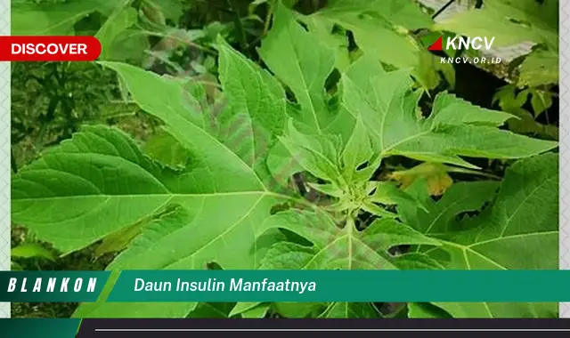 Ketahui 7 Manfaat Daun Insulin yang Jarang Diketahui