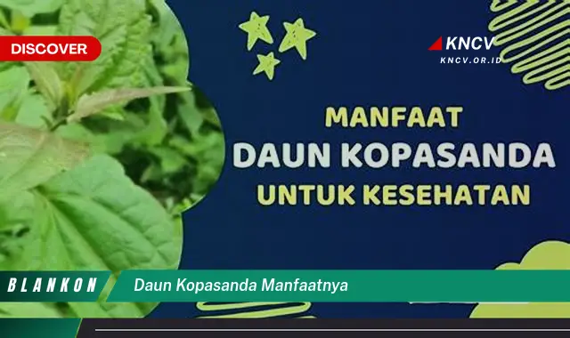 Ketahui 8 Manfaat Daun Kopasanda untuk Kesehatan Anda