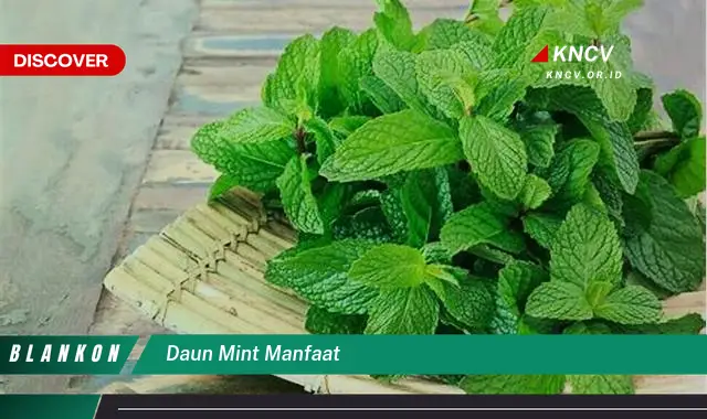 Ketahui 7 Manfaat Daun Mint yang Jarang Diketahui