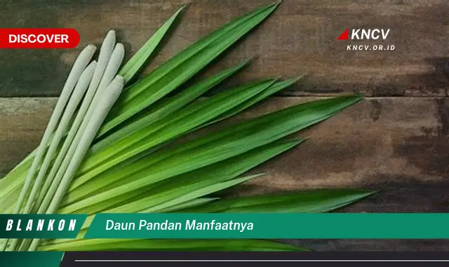 Ketahui 9 Manfaat Daun Pandan yang Jarang Diketahui