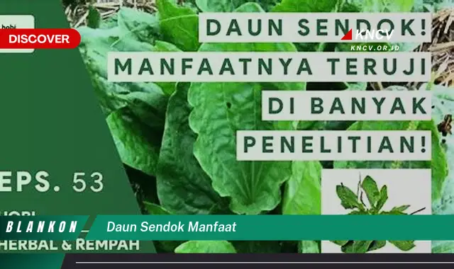 Ketahui 8 Manfaat Daun Sendok untuk Kesehatan Anda