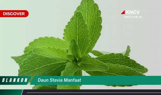 Ketahui 9 Manfaat Daun Stevia untuk Kesehatan Anda