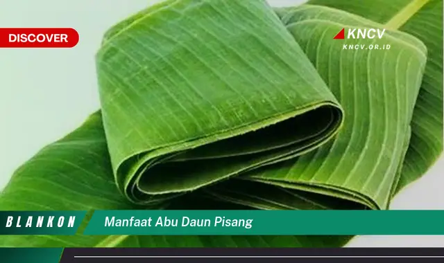 Ketahui 10 Manfaat Abu Daun Pisang untuk Tanaman, Kesehatan, dan Kebersihan Rumah