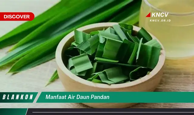 Ketahui 8 Manfaat Air Daun Pandan untuk Kesehatan, Kecantikan, dan Masakan