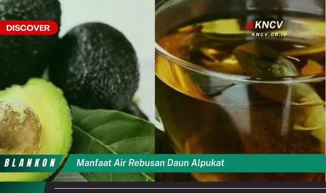 Ketahui 8 Manfaat Air Rebusan Daun Alpukat untuk Kesehatan Anda