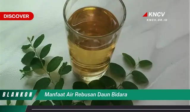 Ketahui 7 Manfaat Air Rebusan Daun Bidara untuk Kesehatan