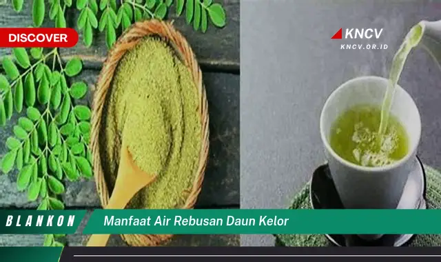 Ketahui 7 Manfaat Air Rebusan Daun Kelor yang Jarang Diketahui