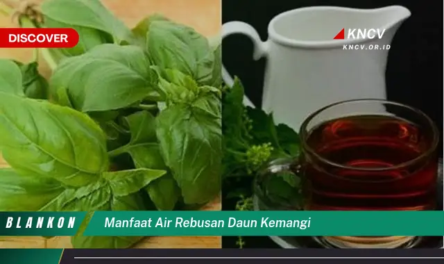 Ketahui 8 Manfaat Air Rebusan Daun Kemangi untuk Kesehatan Tubuh Anda