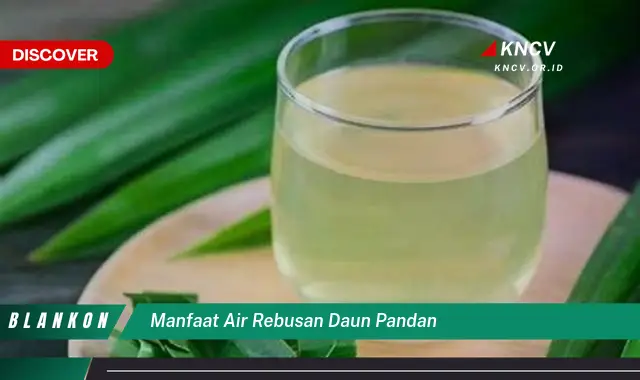 9 Manfaat Air Rebusan Daun Pandan yang Jarang Diketahui