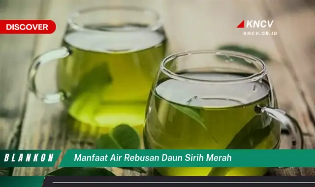 9 Manfaat Ajaib Air Rebusan Sirih Merah