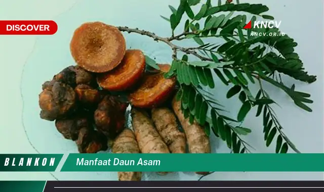 10 Manfaat Daun Asam Untuk Kesehatan Anda