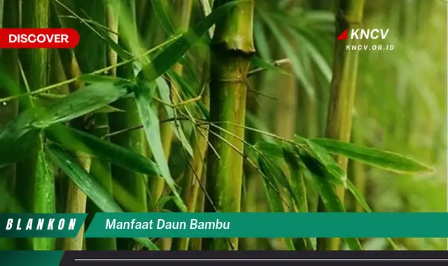 Ketahui 10 Manfaat Daun Bambu untuk Kesehatan, Kecantikan, dan Lingkungan