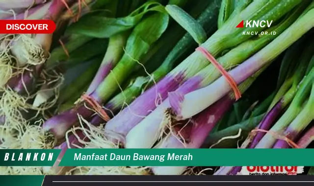 Ketahui 7 Manfaat Daun Bawang Merah untuk Kesehatan