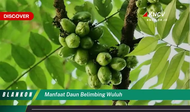 Ketahui 6 Manfaat Daun Belimbing Wuluh yang Jarang Diketahui