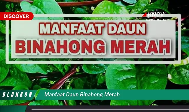 Ketahui 9 Manfaat Daun Binahong Merah yang Jarang Diketahui