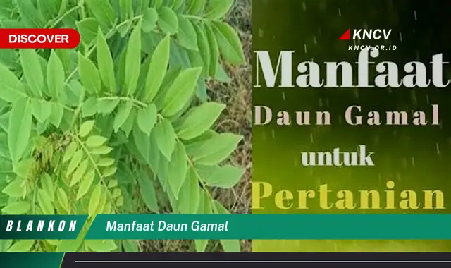 Temukan Manfaat Daun Gamal yang Jarang Diketahui