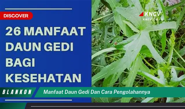 Ketahui 10 Manfaat Ajaib Daun Gedi & Cara Masaknya