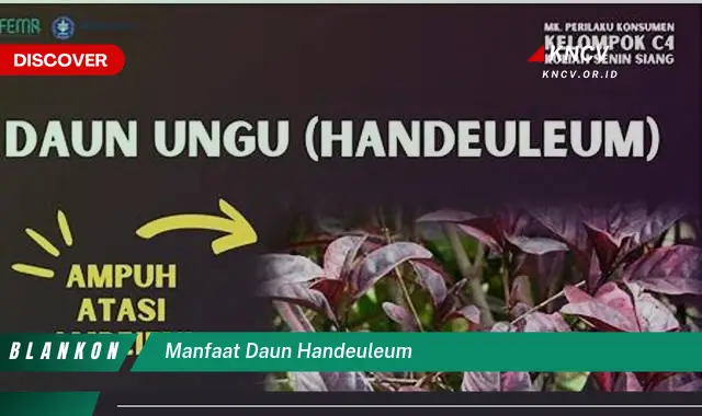 Ketahui 9 Manfaat Daun Handeuleum yang Jarang Diketahui