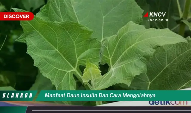 Ketahui 7 Manfaat Daun Insulin yang Jarang Diketahui