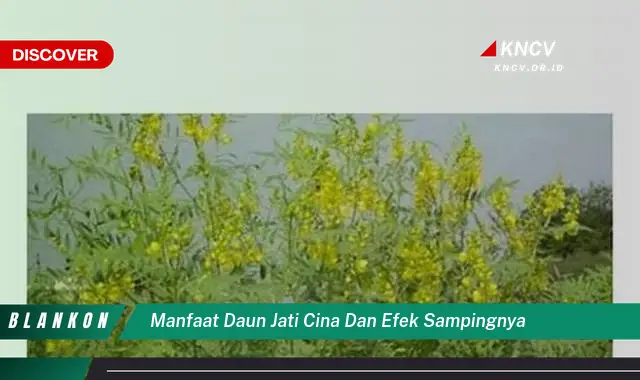 Ketahui 7 Manfaat & Efek Samping Daun Jati Cina