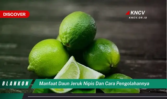 Ketahui 10 Manfaat Daun Jeruk Nipis untuk Kesehatan dan Kecantikan  Serta Cara Mengolahnya dengan Mudah