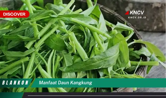 10 Manfaat Daun Kangkung:  Khasiat Sehat yang Mengejutkan