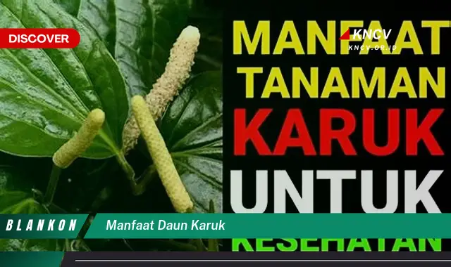 Ketahui 8 Manfaat Daun Karuk untuk Kesehatan dan Kecantikan