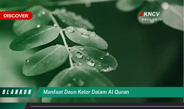 Temukan 7 Manfaat Daun Kelor dalam Al-Quran yang Jarang Diketahui