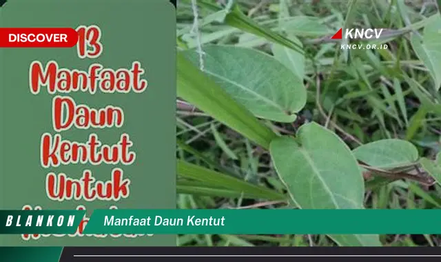 Temukan Manfaat Daun Kentut: Keajaiban Kesehatan Alami