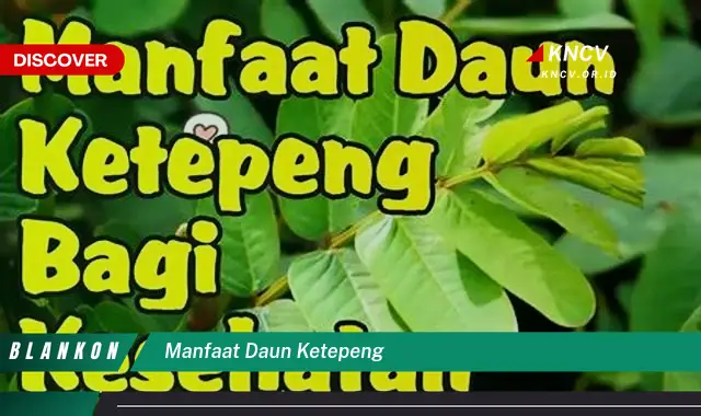 Ketahui 5 Manfaat Daun Ketepeng yang Jarang Diketahui