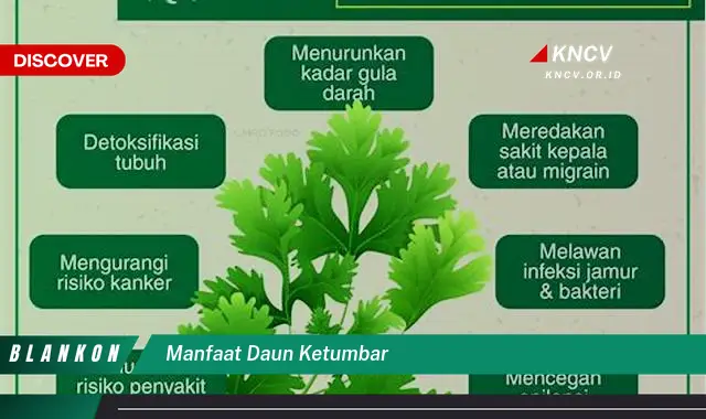 Ketahui 7 Manfaat Daun Ketumbar yang Jarang Diketahui