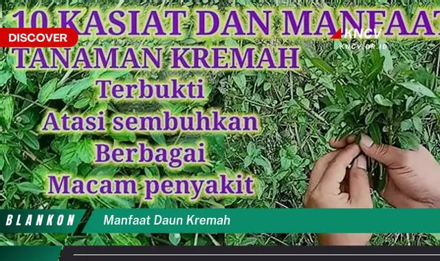 Temukan 7 Manfaat Daun Kremah untuk Kesehatan Anda