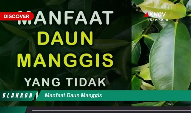 Ketahui 7 Manfaat Daun Manggis untuk Kesehatan