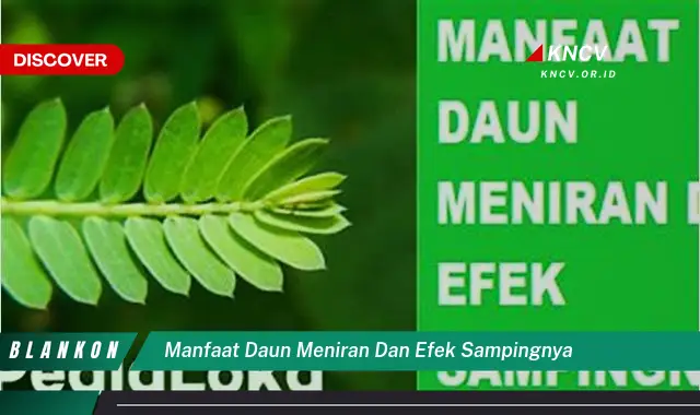 Ketahui 5 Manfaat Daun Meniran yang Jarang Diketahui