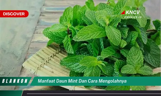 Ketahui 8 Manfaat Daun Mint untuk Kesehatan dan Cara Mengolahnya dengan Mudah