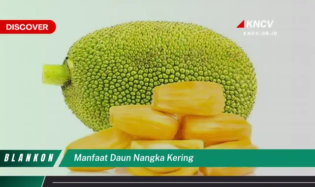 Ketahui 8 Manfaat Daun Nangka Kering untuk Kesehatan Anda