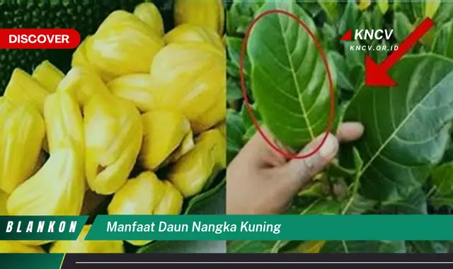 Ketahui 8 Manfaat Daun Nangka Kuning untuk Kesehatan Anda