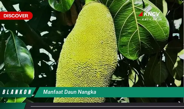 Ketahui 7 Manfaat Daun Nangka yang Jarang Diketahui