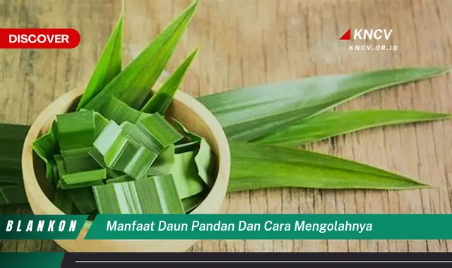 Ketahui 9 Manfaat Daun Pandan untuk Kesehatan dan Cara Mengolahnya dengan Mudah