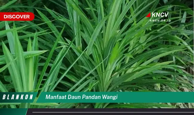 Ketahui 8 Manfaat Ajaib Daun Pandan Wangi