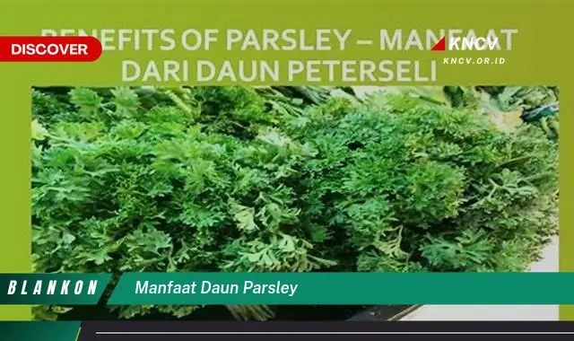 Ketahui 10 Manfaat Daun Parsley untuk Kesehatan, Kecantikan, dan Masakan