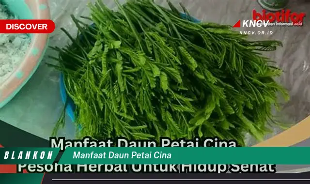 Temukan 15 Manfaat Daun Petai Cina untuk Kesehatan Anda