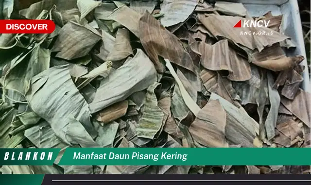 Temukan 7 Manfaat Daun Pisang Kering yang Tak Terduga