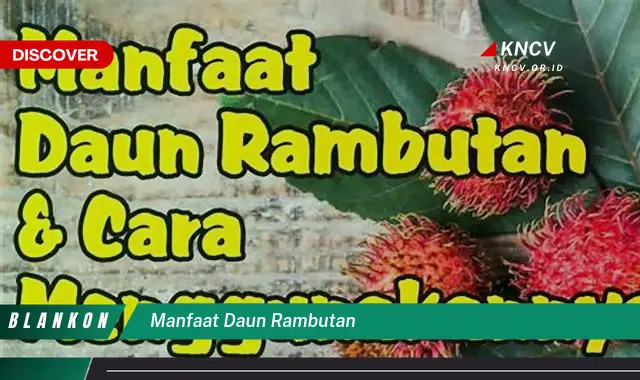 Temukan 8 Manfaat Daun Rambutan yang Belum Banyak Orang Tahu