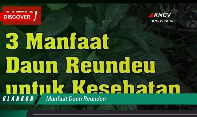 Temukan 7 Manfaat Daun Reundeu untuk Kesehatan